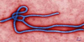 فيروس ايبولا Ebola virus